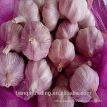 fresh red purple white wholesale china garlic price 2017 per ton